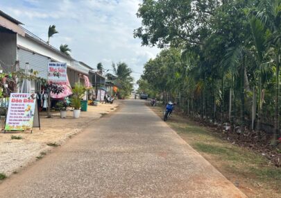 BÁN ĐẤT D4 – Đối diện Chợ Đạt Lý –  Buôn ju – P .Tân An