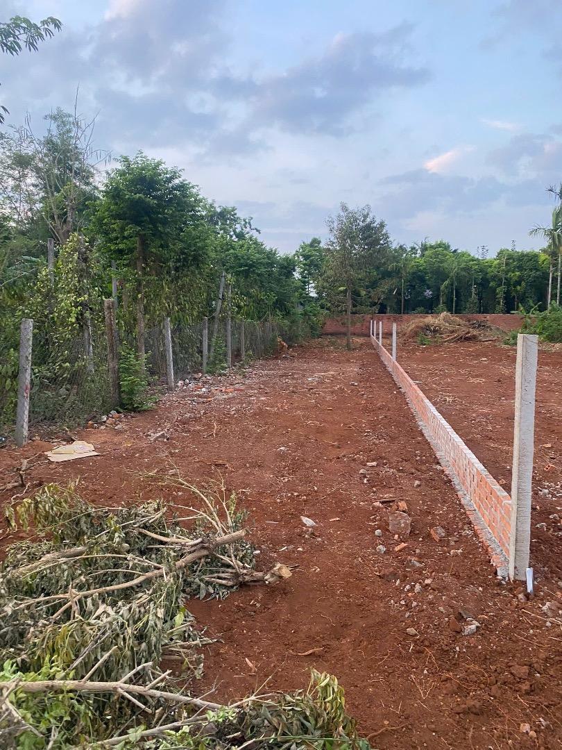 BÁN ĐẤT ĐƯỜNG N2 BUÔN JU – PHƯỜNG TÂN AN