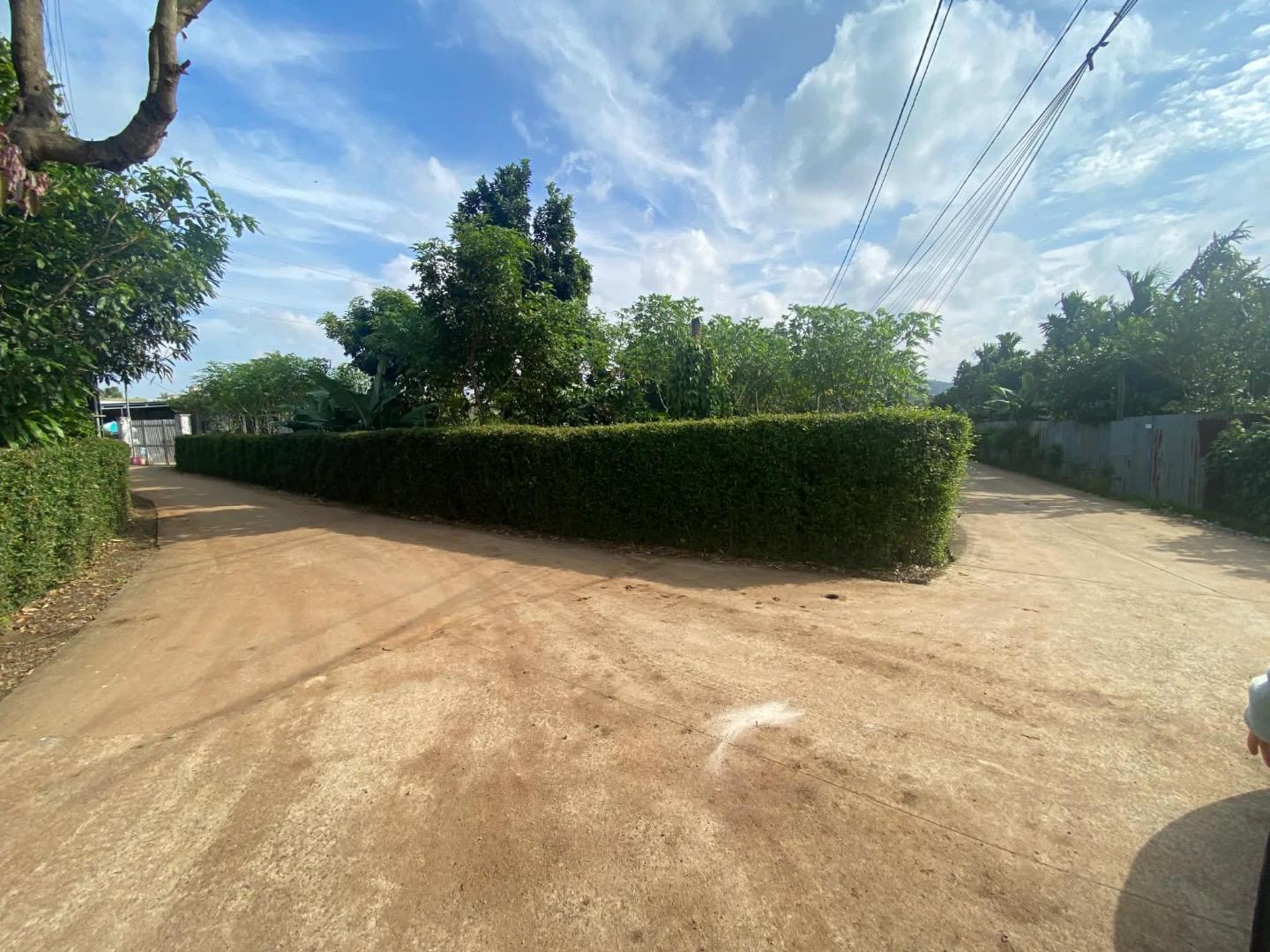 Nền đất đẹp hẻm 255 ywang